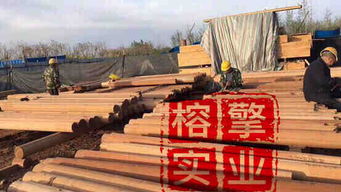襄樊市菠蘿格防腐木廠家與加工廠全解析 工藝、選擇與市場前景